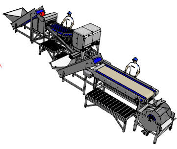 Bay Carrot line 250Kg/h