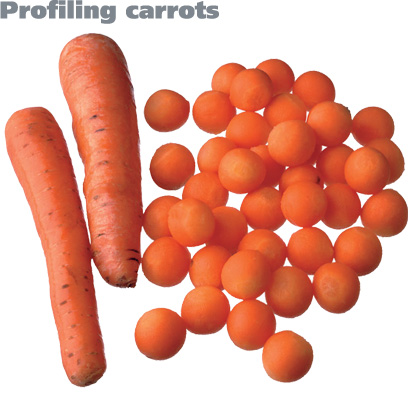 Profilin Carrots